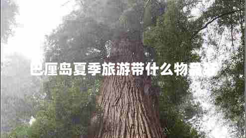 巴厘島夏季旅游帶什么物品好