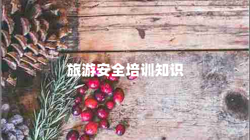 旅游安全培訓(xùn)知識(shí) 旅游安全培訓(xùn)知識(shí)