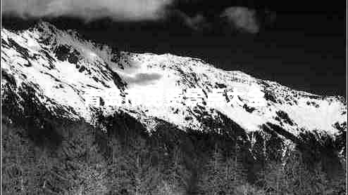 青島市免費(fèi)景點(diǎn)大全 青島市免費(fèi)景點(diǎn)大全