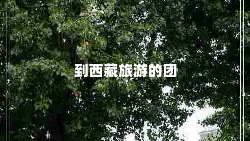 到西藏旅游的團(tuán) 到西藏旅游的團(tuán)