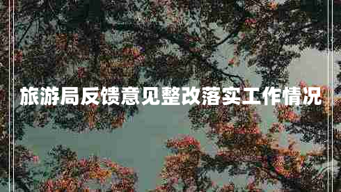 旅游局反饋意見整改落實(shí)工作情況 旅游局反饋意見整改落實(shí)工作情況
