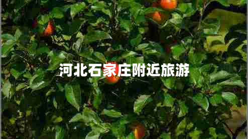 河北石家莊附近旅游 河北石家莊附近旅游