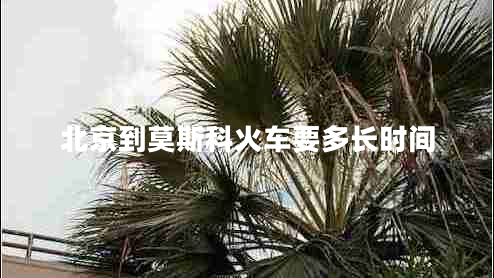北京到莫斯科火車要多長時(shí)間 北京到莫斯科火車要多長時(shí)間