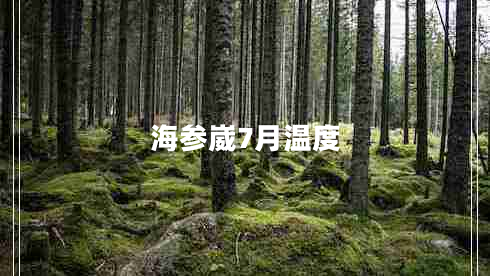 海參崴7月溫度 海參崴7月溫度
