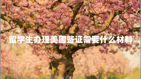 留學(xué)生辦理美國簽證需要什么材料 留學(xué)生辦理美國簽證需要什么材料