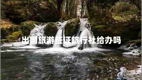 出國旅游簽證旅行社給辦嗎 出國旅游簽證旅行社給辦嗎