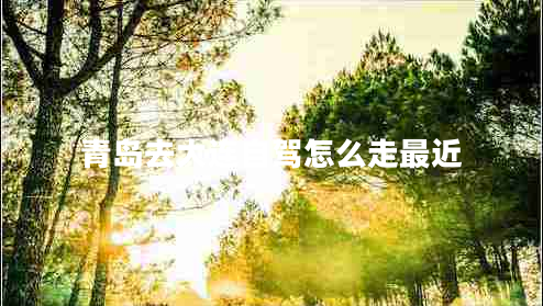 青島去大連自駕怎么走最近 青島去大連自駕怎么走最近