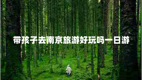 帶孩子去南京旅游好玩嗎一日游 帶孩子去南京旅游好玩嗎一日游