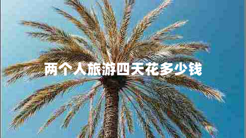 兩個人旅游四天花多少錢 兩個人旅游四天花多少錢