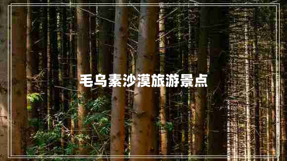 毛烏素沙漠旅游景點(diǎn) 毛烏素沙漠旅游景點(diǎn)