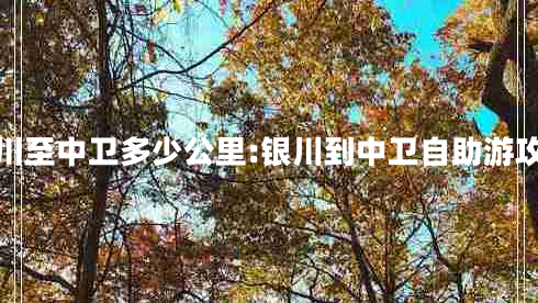銀川至中衛(wèi)多少公里:銀川到中衛(wèi)自助游攻略 銀川至中衛(wèi)多少公里:銀川到中衛(wèi)自助游攻略