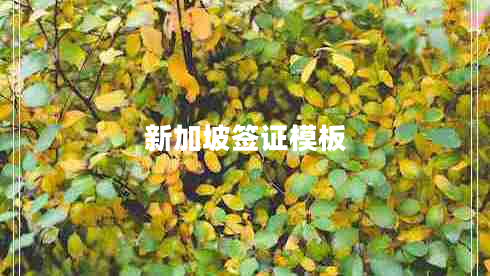 新加坡簽證模板 新加坡簽證模板