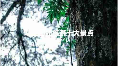 烏蘭巴托旅游十大景點 烏蘭巴托旅游十大景點