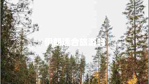 伊朗適合旅游嗎 伊朗適合旅游嗎