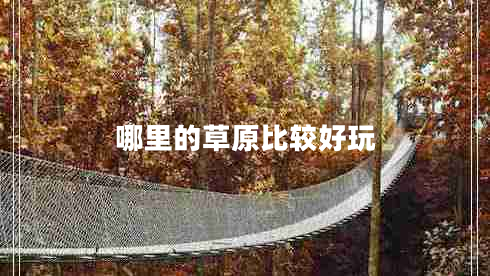 哪里的草原比較好玩 哪里的草原比較好玩