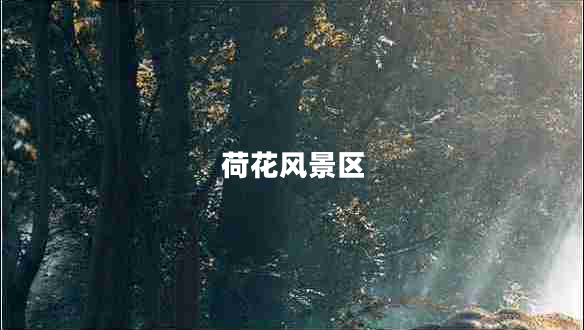 荷花風景區(qū)