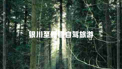 銀川至新疆自駕旅游 銀川至新疆自駕旅游