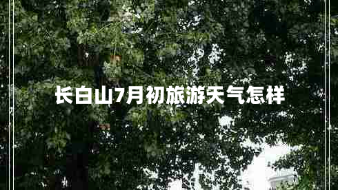 長(zhǎng)白山7月初旅游天氣怎樣 長(zhǎng)白山7月初旅游天氣怎樣