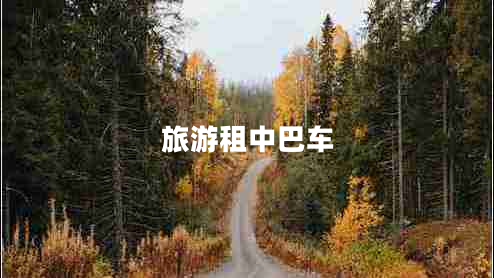 旅游租中巴車 旅游租中巴車