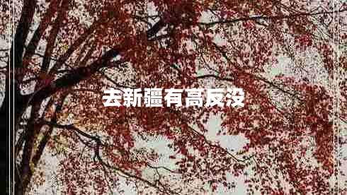 去新疆有高反沒