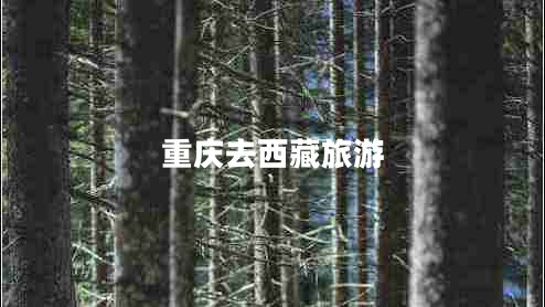 重慶去西藏旅游