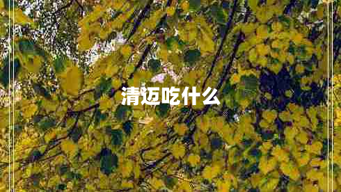 清邁吃什么
