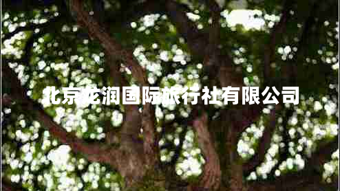 北京龍潤國際旅行社有限公司 北京龍潤國際旅行社有限公司