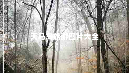 天馬島旅游圖片大全