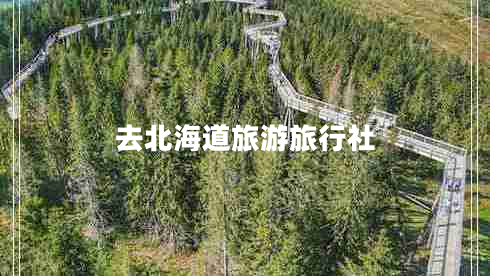 去北海道旅游旅行社 去北海道旅游旅行社