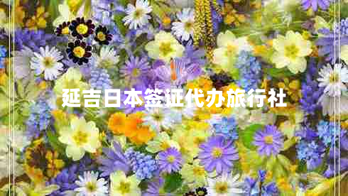 延吉日本簽證代辦旅行社 延吉日本簽證代辦旅行社