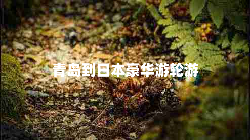 青島到日本豪華游輪游 青島到日本豪華游輪游