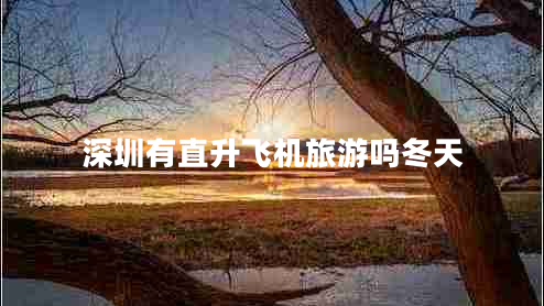 深圳有直升飛機旅游嗎冬天 深圳有直升飛機旅游嗎冬天