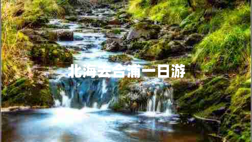 北海去合浦一日游 北海去合浦一日游