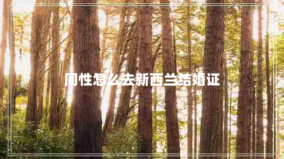 同性怎么去新西蘭結(jié)婚證