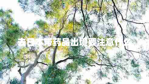 去日本帶藥品出境要注意什么
