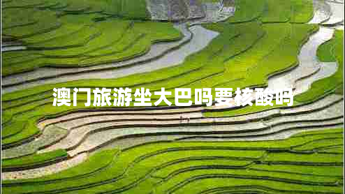 澳門旅游坐大巴嗎要核酸嗎