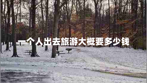 一個(gè)人出去旅游大概要多少錢