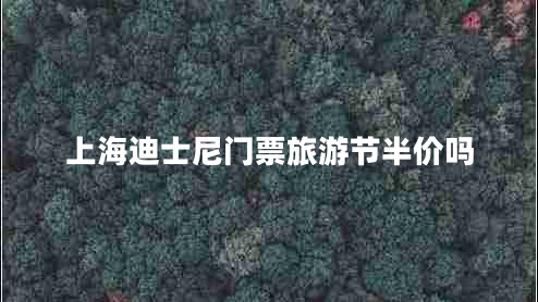 上海迪士尼門票旅游節(jié)半價(jià)嗎 上海迪士尼門票旅游節(jié)半價(jià)嗎