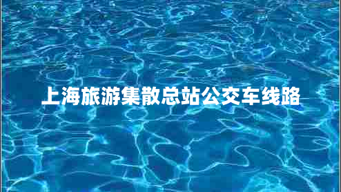上海旅游集散總站公交車線路 上海旅游集散總站公交車線路