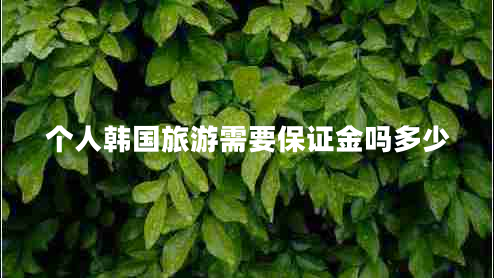 個(gè)人韓國(guó)旅游需要保證金嗎多少 個(gè)人韓國(guó)旅游需要保證金嗎多少