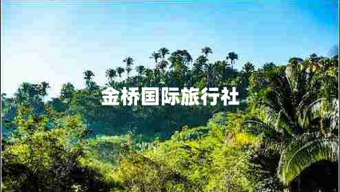 金橋國(guó)際旅行社 金橋國(guó)際旅行社