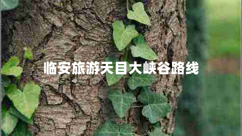 臨安旅游天目大峽谷路線 臨安旅游天目大峽谷路線