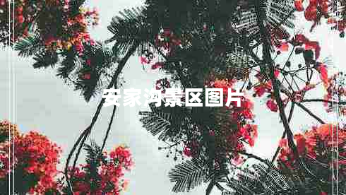 安家溝景區(qū)圖片