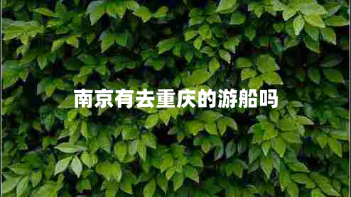 南京有去重慶的游船嗎