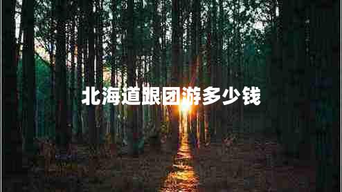 北海道跟團(tuán)游多少錢