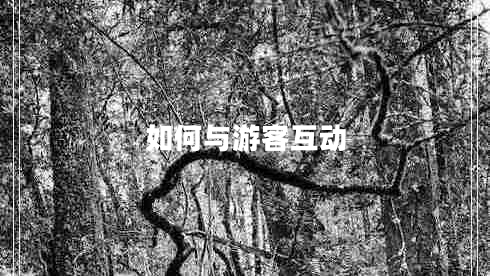 如何與游客互動(dòng)