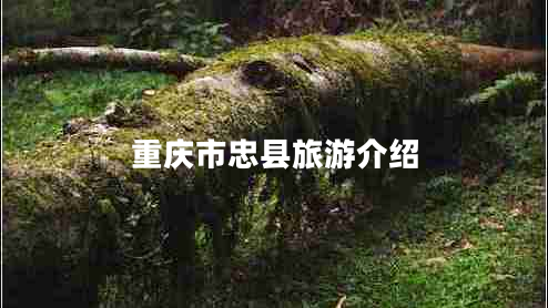 重慶市忠縣旅游介紹 重慶市忠縣旅游介紹