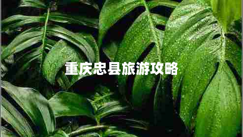 重慶忠縣旅游攻略 重慶忠縣旅游攻略