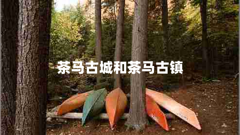 茶馬古城和茶馬古鎮(zhèn) 茶馬古城和茶馬古鎮(zhèn)