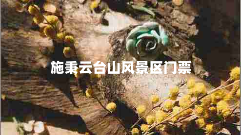 施秉云臺山風(fēng)景區(qū)門票 施秉云臺山風(fēng)景區(qū)門票